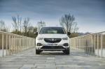 Vauxhall Grandland X Hybrid4 2020 года